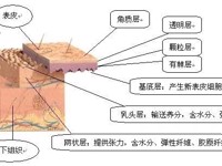 开展各类皮肤病与性病诊疗项目：