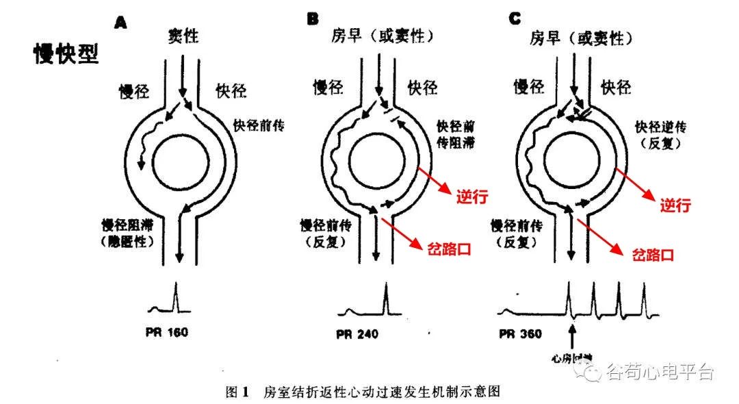 2e0342ac0c49493790fa910bcb913cc9.jpg